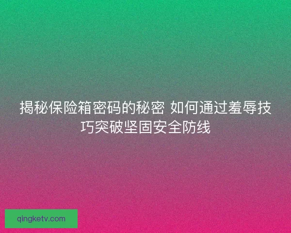 揭秘保险箱密码的秘密 如何通过羞辱技巧突破坚固安全防线